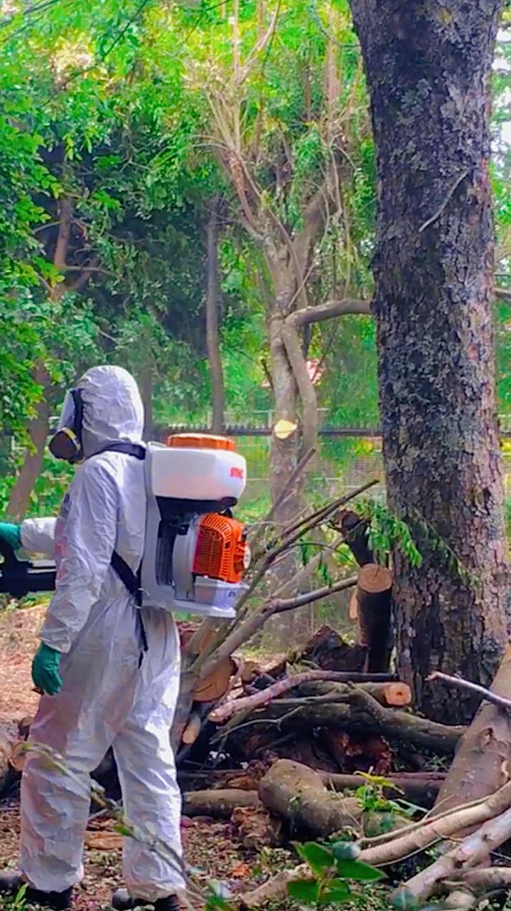 WhatsApp Image 2024-04-30 at 11.29.08