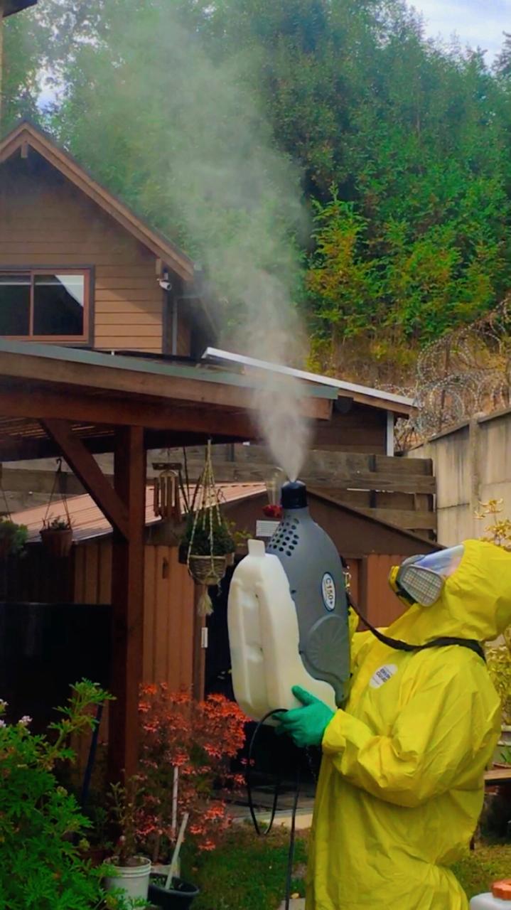 WhatsApp Image 2024-04-30 at 11.32.49