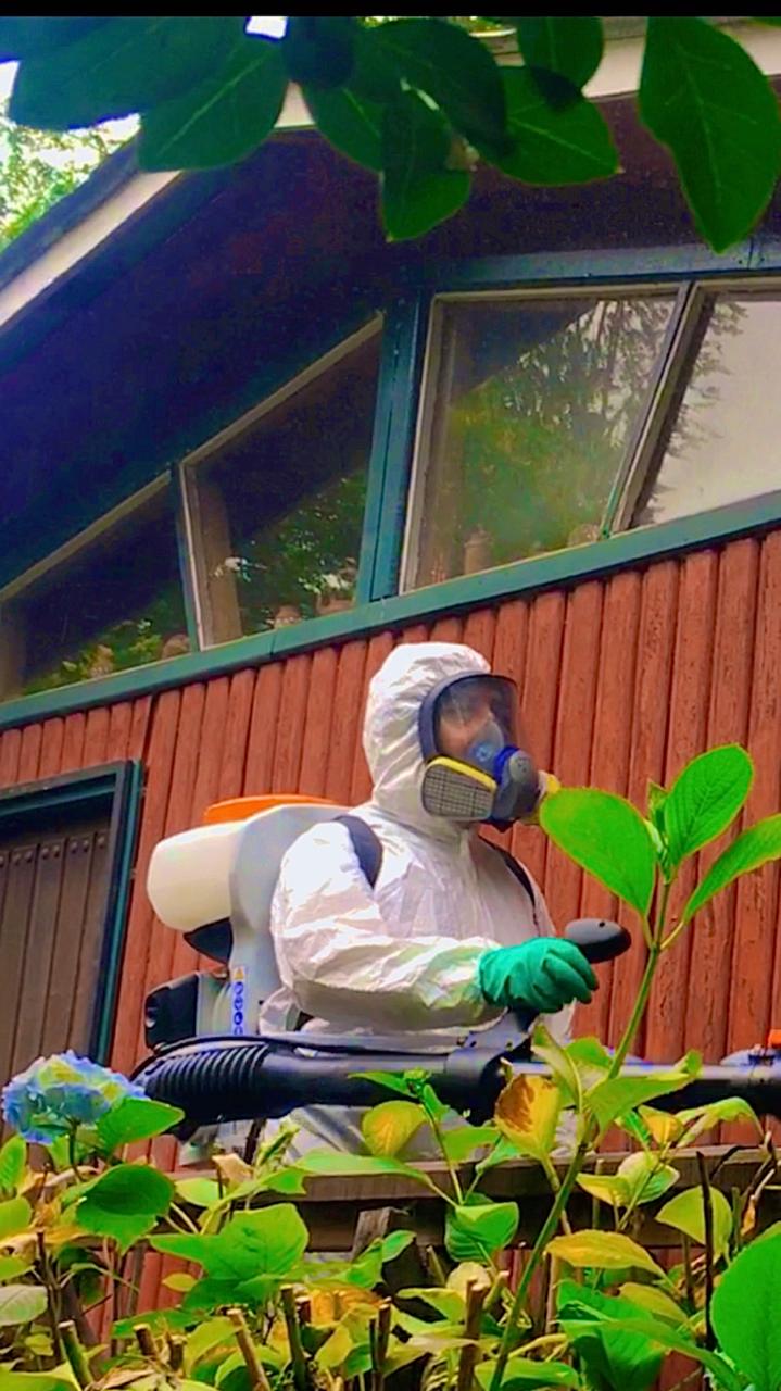 WhatsApp Image 2024-04-30 at 11.37.23