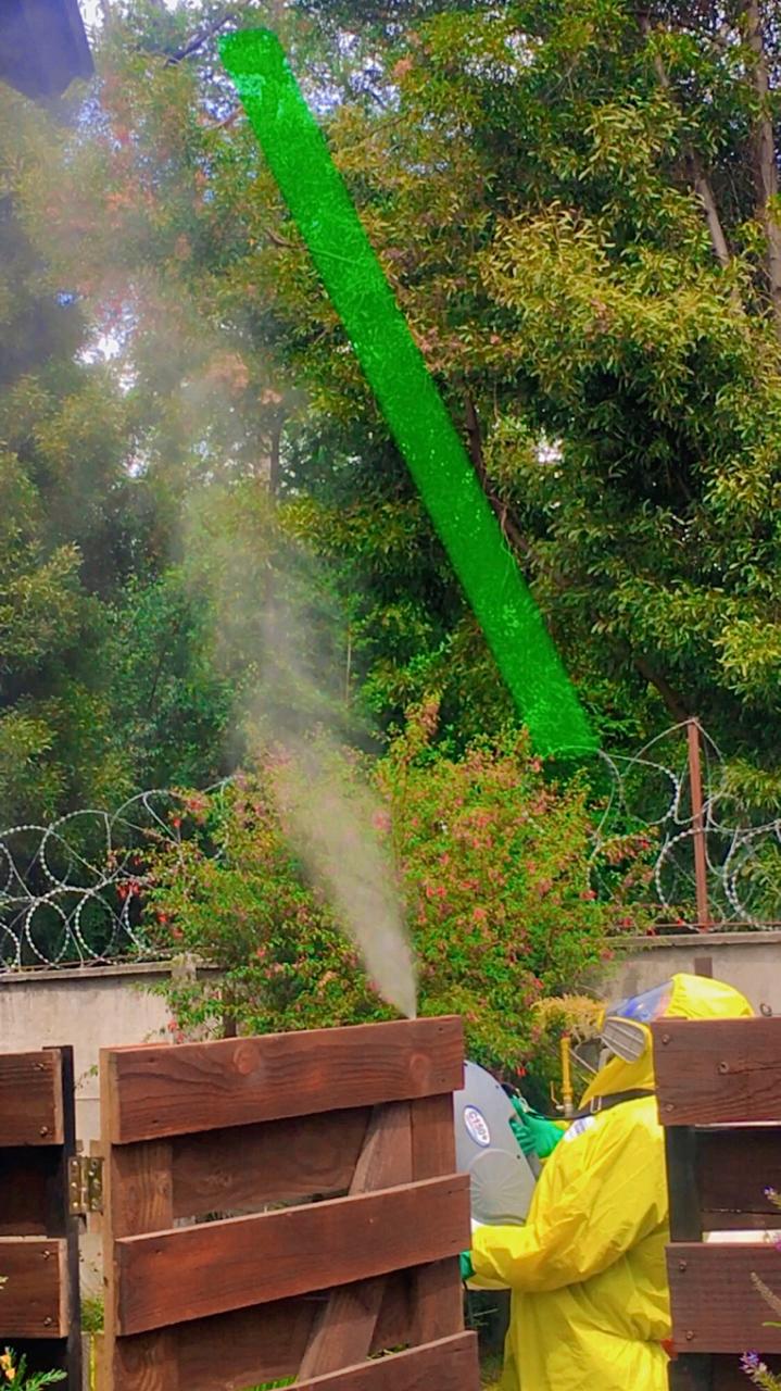 WhatsApp Image 2024-04-30 at 11.41.19