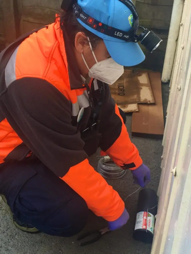 WhatsApp Image 2024-12-22 at 18.59.59 (1)