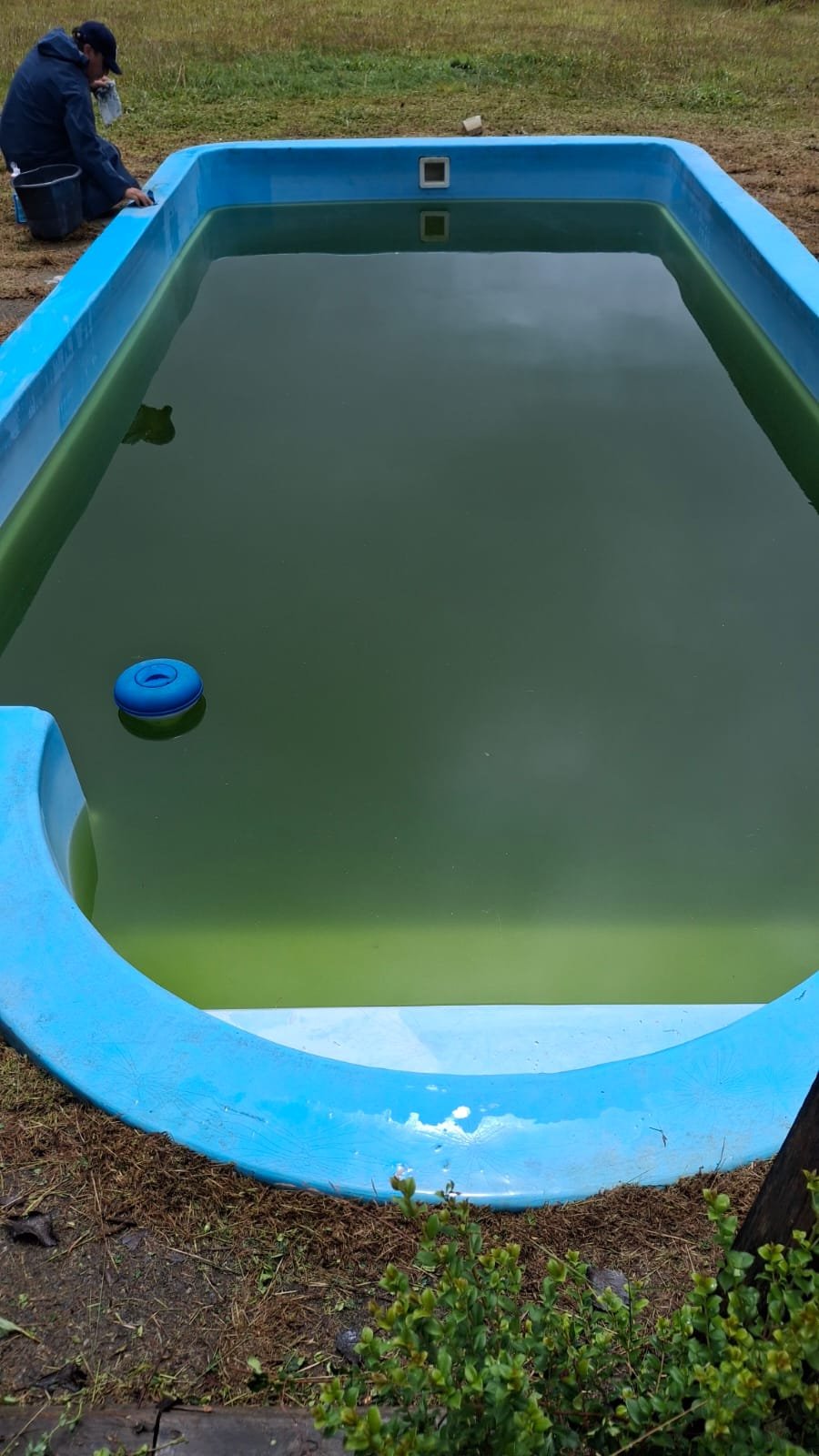 Antes - piscina verde